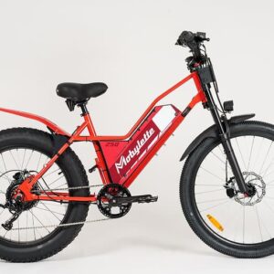 mobylette 250 cross rouge